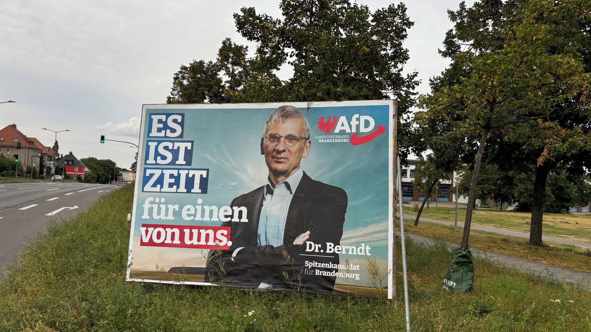 Sociální demokraté zvítězili v zemských volbách v Braniborsku, před AfD